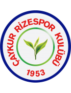 Rizespor logo